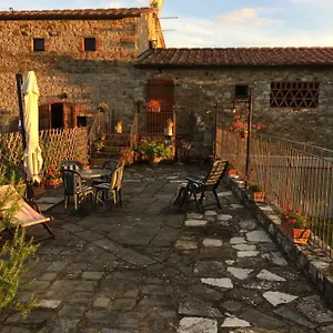 Casa vacanze Salto Di Gatto Castellina in Chianti