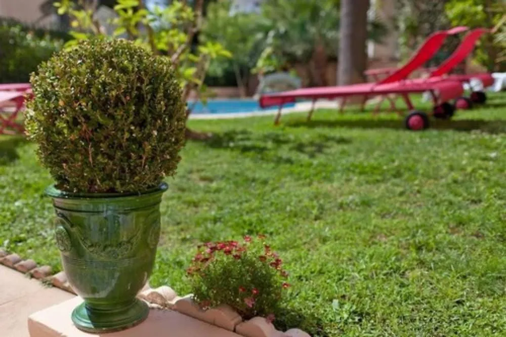 ****  Sun Riviera Hotel Cannes Frankreich